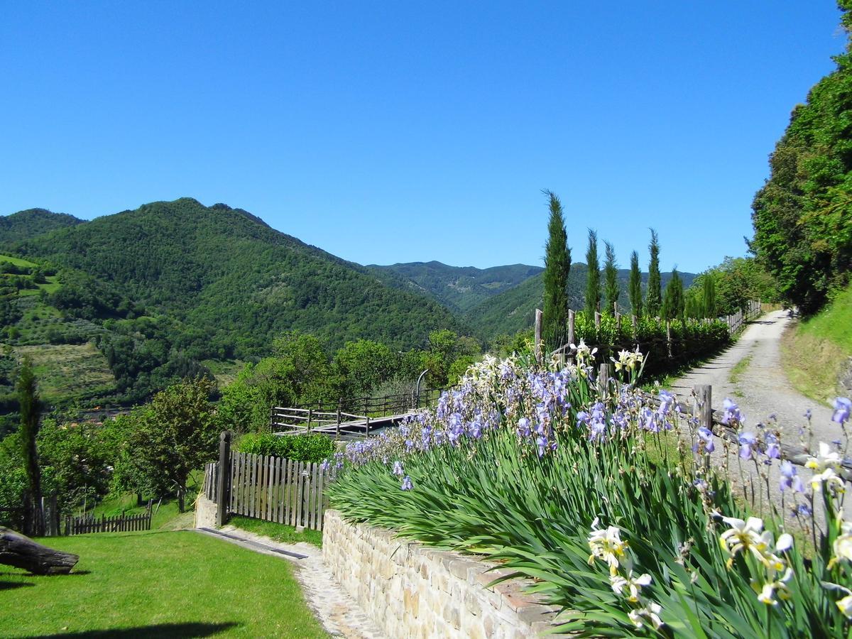 Casa Vacanze Podere Ugolini Ronta Exterior photo
